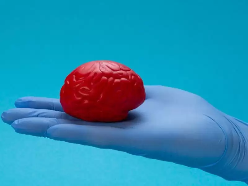 beyin-tumoru-nedir-beyin-tumorunun-evreleri-nelerdir