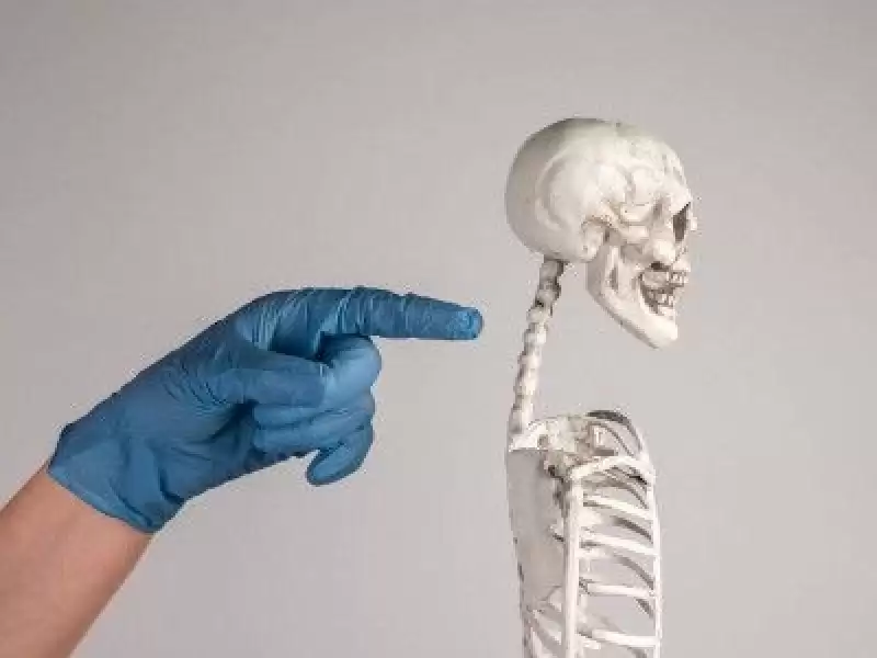 boyun-fitigi-nedir-hakkinda-sik-sorulan-sorular