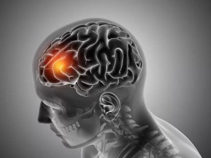 menengioma-hakkinda-sik-sorulan-sorular